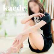 ヒメ日記 2026/04/15 20:48 投稿 かえで フォーシーズン