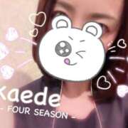 ヒメ日記 2026/04/20 18:48 投稿 かえで フォーシーズン