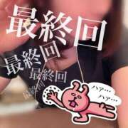 ヒメ日記 2026/09/21 22:58 投稿 かえで フォーシーズン