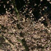 ヒメ日記 2026/03/30 22:06 投稿 みその 熟女家 京橋店