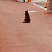 みその 哀愁の背中…😺 熟女家 京橋店