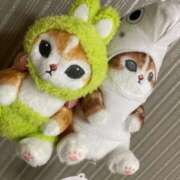 ヒメ日記 2026/03/22 07:01 投稿 川口ちい ABC 岩手ソープ