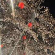 ヒメ日記 2026/04/14 11:31 投稿 川口ちい ABC 岩手ソープ