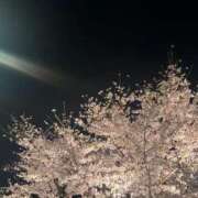 ヒメ日記 2026/04/10 12:17 投稿 けい あとりえ(ATELIER)