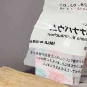 ヒメ日記 2026/02/09 07:16 投稿 渡辺とも 華椿