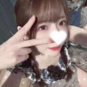 ヒメ日記 2026/02/10 07:46 投稿 渡辺とも 華椿