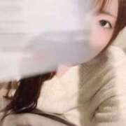 ヒメ日記 2026/02/13 08:31 投稿 渡辺とも 華椿