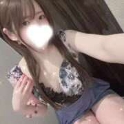 ヒメ日記 2026/02/25 08:16 投稿 渡辺とも 華椿