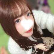 ヒメ日記 2026/02/27 06:16 投稿 渡辺とも 華椿