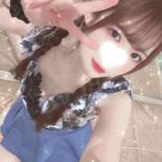 ヒメ日記 2026/03/03 06:31 投稿 渡辺とも 華椿