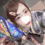 ヒメ日記 2026/03/05 08:01 投稿 渡辺とも 華椿