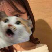 ヒメ日記 2026/01/24 17:40 投稿 まお【天然Gカプ未開発】 STELLA TOKYO－ステラトウキョウ－