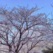 綾瀬 さくら お礼☆T様、Y様 こあくまな熟女たち小倉店（KOAKUMAグループ）