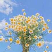 ヒメ日記 2026/02/26 10:25 投稿 こはく ビデオDEはんど 名古屋校