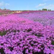 ヒメ日記 2026/06/12 21:05 投稿 こはく ビデオDEはんど 名古屋校