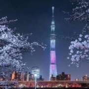 こはく 本指名様へのお礼💌 ビデオDEはんど 名古屋校