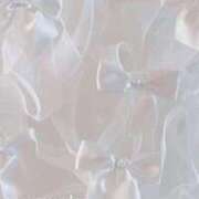 ヒメ日記 2026/01/25 19:25 投稿 本マグロ 女の子市場