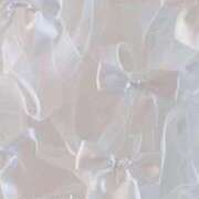 ヒメ日記 2026/01/26 03:28 投稿 本マグロ 女の子市場