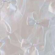 ヒメ日記 2026/01/26 16:08 投稿 本マグロ 女の子市場