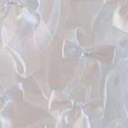 ヒメ日記 2026/01/26 21:28 投稿 本マグロ 女の子市場