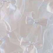 ヒメ日記 2026/01/28 01:18 投稿 本マグロ 女の子市場