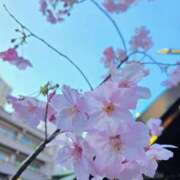 ヒメ日記 2026/03/27 07:15 投稿 つな ぽっちゃり巨乳素人専門店ぷにめろ渋谷店