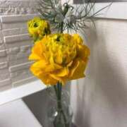 ヒメ日記 2026/02/04 16:12 投稿 かんな 東京エステコレクション 新橋・銀座