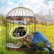 ヒメ日記 2026/02/20 14:06 投稿 みえこ 熟女家 京橋店