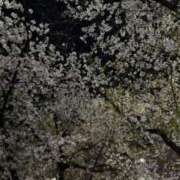 ヒメ日記 2026/04/07 17:45 投稿 りこ フォーチュン