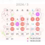 のん 🗓🌷3月の予定‎🤍 CECIL