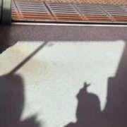 ヒメ日記 2026/01/31 18:14 投稿 【G】みなみ ウルトラセレブリティ