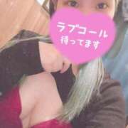 ヒメ日記 2026/01/27 13:12 投稿 こゆき 渋谷ちゃんこ