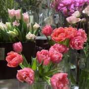 ヒメ日記 2026/02/10 10:00 投稿 さわ 錦糸町人妻セレブリティ（ユメオト）