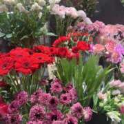 ヒメ日記 2026/02/10 13:12 投稿 さわ 錦糸町人妻セレブリティ（ユメオト）