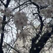 さわ 本日も出勤です✨ 錦糸町人妻セレブリティ（ユメオト）