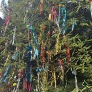 ヒメ日記 2026/02/03 12:44 投稿 体験ななし『透明感強めの清楚系美少女』 錦糸町派遣型JKリフレガチあい