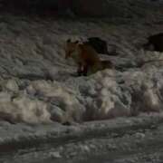 ヒメ日記 2026/02/20 07:50 投稿 水守ゆうり お姉さんLABO -艶-