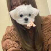 あいか 出！！！！ 池袋しろパラ