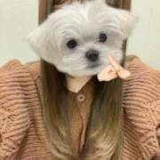 あいか 同画角で！同画角なのに！！！ 池袋しろパラ