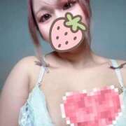 ヒメ日記 2026/02/06 19:52 投稿 こよい ホワイトベル