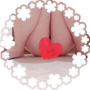 ヒメ日記 2026/02/19 15:08 投稿 (新人)あすか エレガンス(広島)