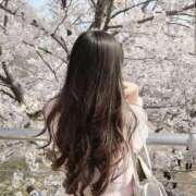 メロン 桜の季節🌸 トリプルA