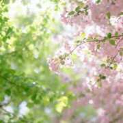 ヒメ日記 2026/04/22 17:35 投稿 メロン トリプルA
