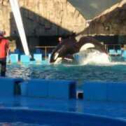 ライト はじめまして コンプレックス(京都)