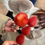 ヒメ日記 2026/02/21 15:35 投稿 ゆうみ IRIS(岐阜)