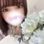 ヒメ日記 2026/04/08 10:46 投稿 ゆうみ IRIS(岐阜)