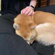 ヒメ日記 2026/04/09 00:48 投稿 ゆうみ IRIS(岐阜)