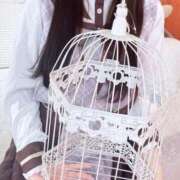 ヒメ日記 2026/01/29 16:49 投稿 れの【激カワロリ系ルックス】 STELLA TOKYO－ステラトウキョウ－