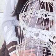 ヒメ日記 2026/02/05 02:09 投稿 れの【激カワロリ系ルックス】 STELLA TOKYO－ステラトウキョウ－