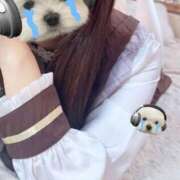 ヒメ日記 2026/02/07 01:19 投稿 れの【激カワロリ系ルックス】 STELLA TOKYO－ステラトウキョウ－